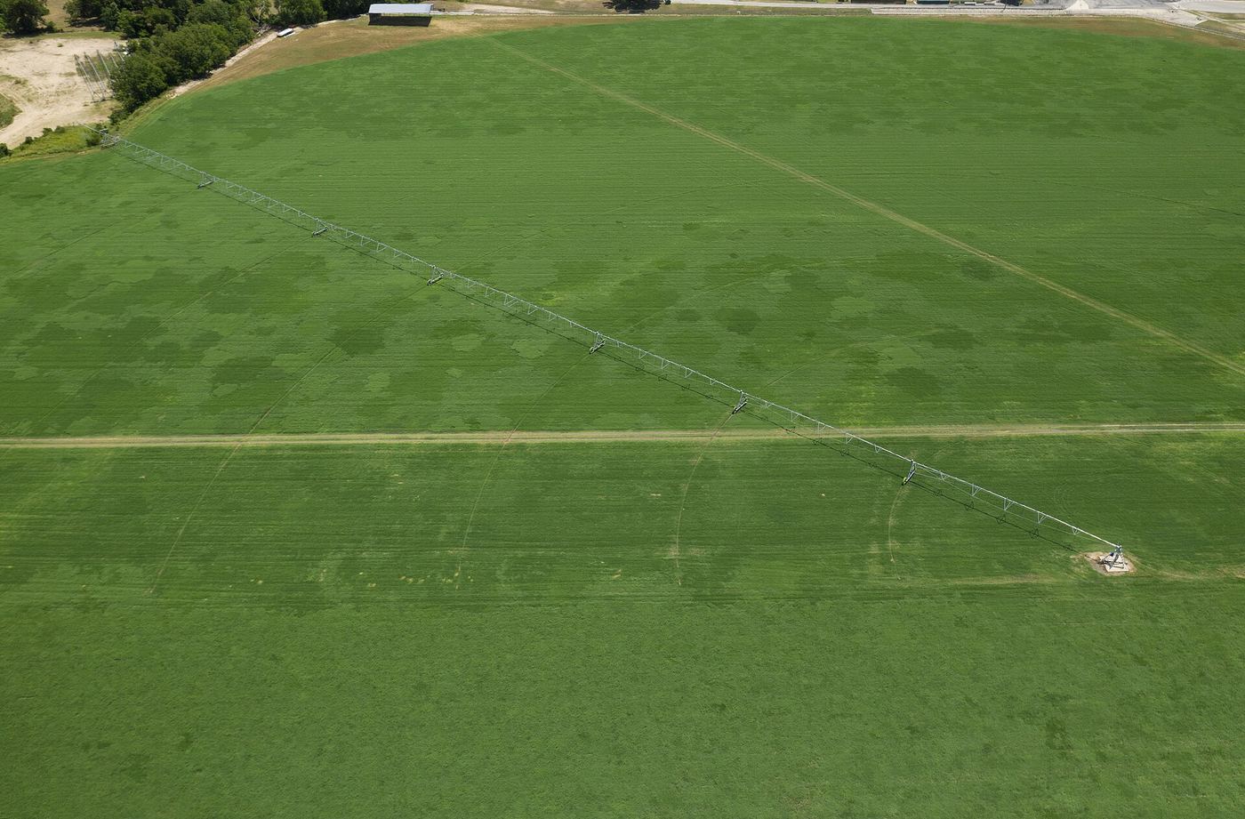 Aerial view of a center-pivot irrigated green field