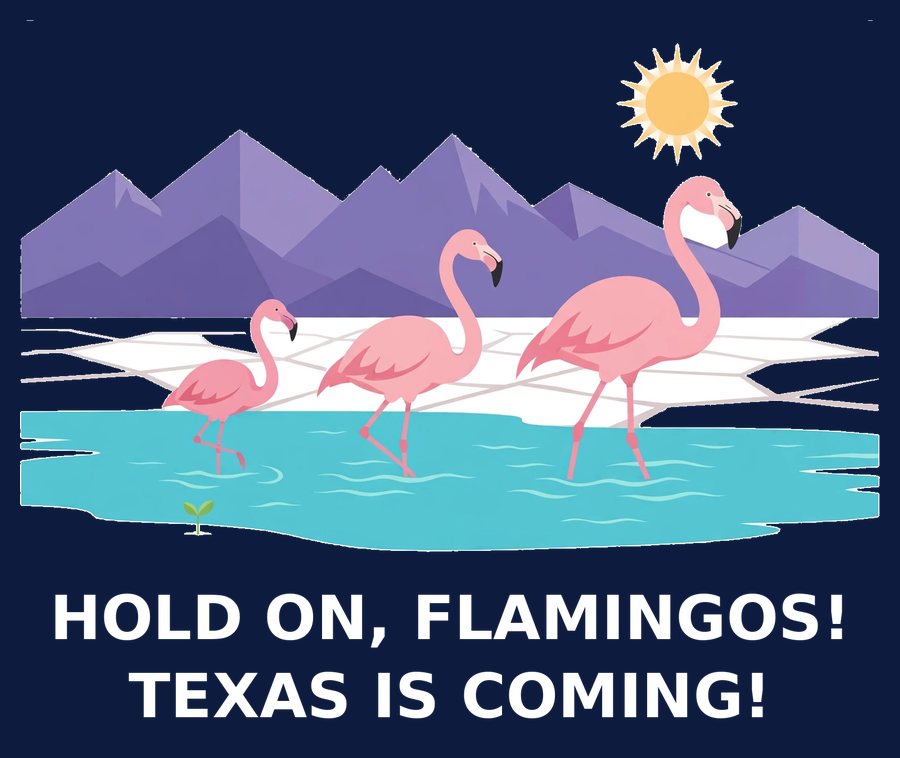 Hold On Flamingos tee with white lettering on navy